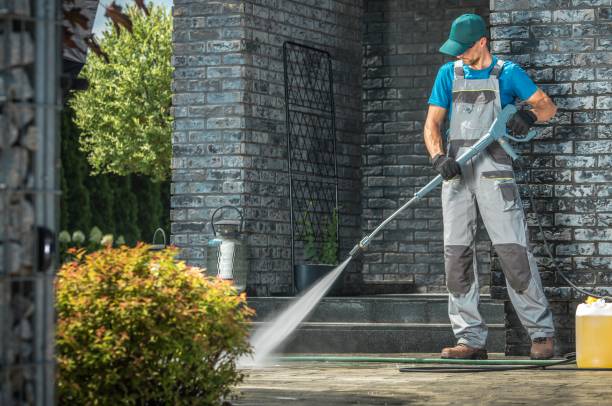 Best Animal Enclosure Cleaning  in Onsted, MI