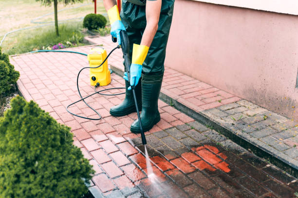 Best Gutter Cleaning  in Onsted, MI