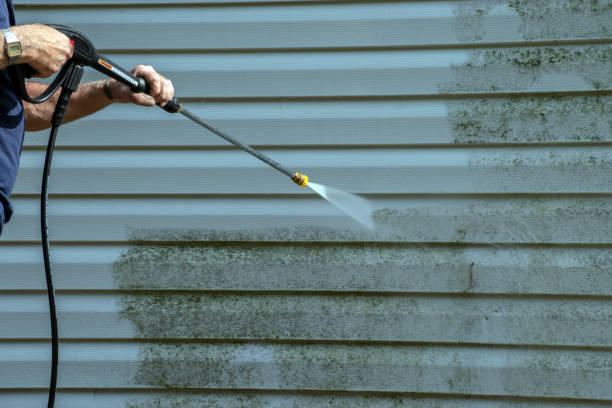Best House Exterior Washing  in Onsted, MI